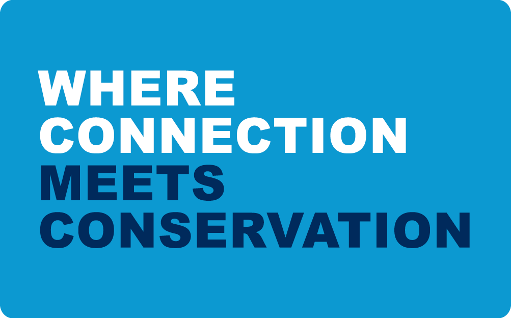 Where Connection Meets Conservation